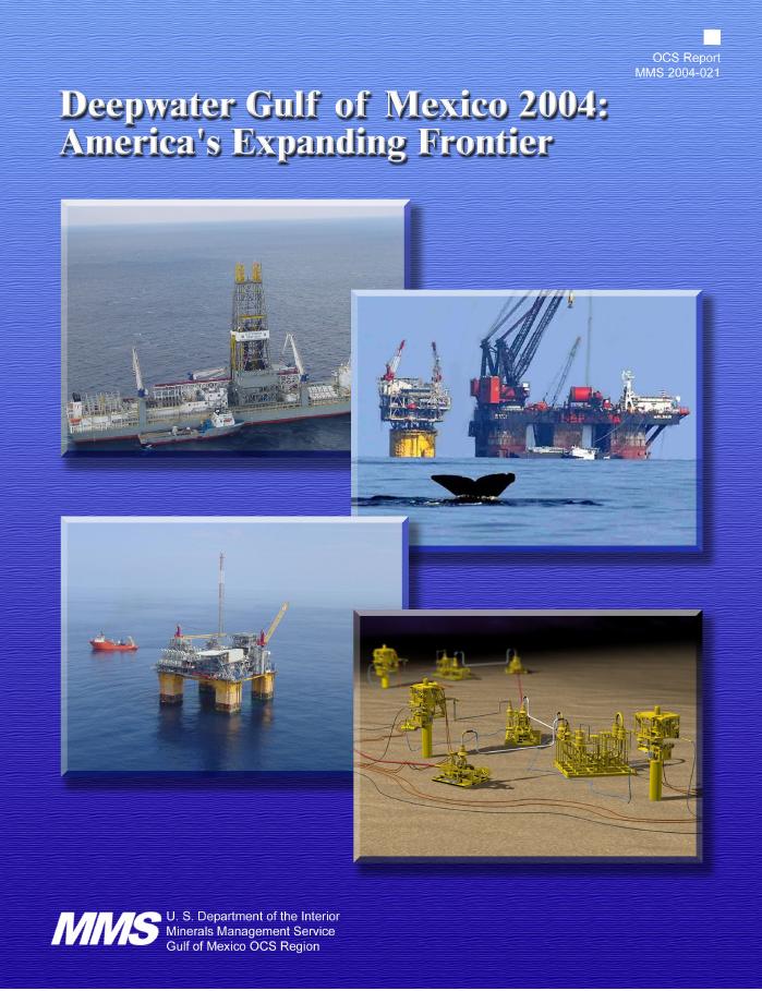 Cover illustration of Deepwater Gulf of Mexico report