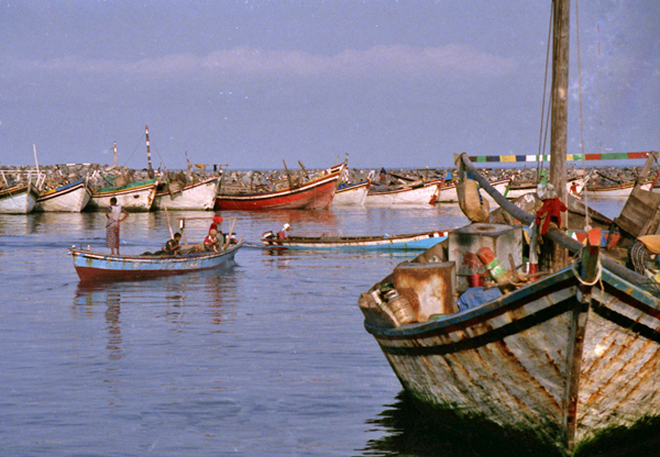 Fishing port, Hodeidah, Yemen  Photo